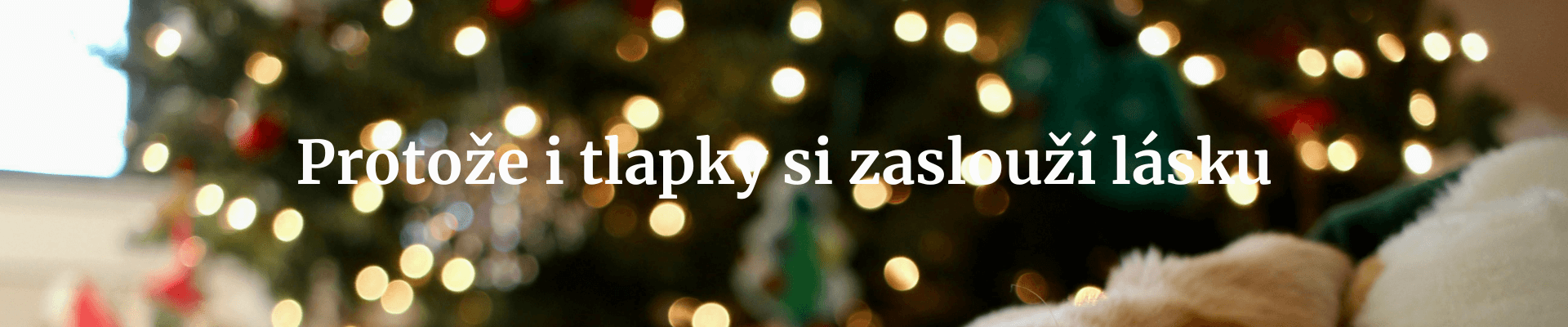 Vánoce-25-Oddělovač-4